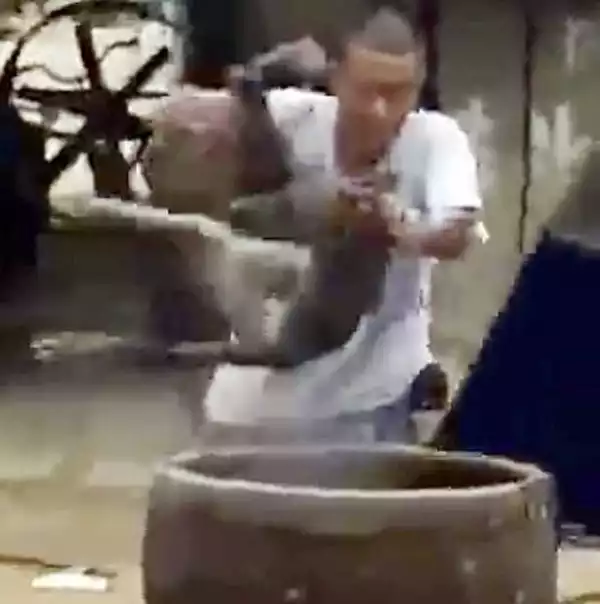 Photos: Sickening Moment Defenceless Dog Is Boiled Alive For Trade In China
